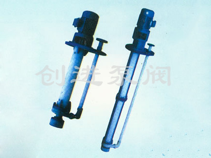 FYS型耐（nài）腐蝕液下泵